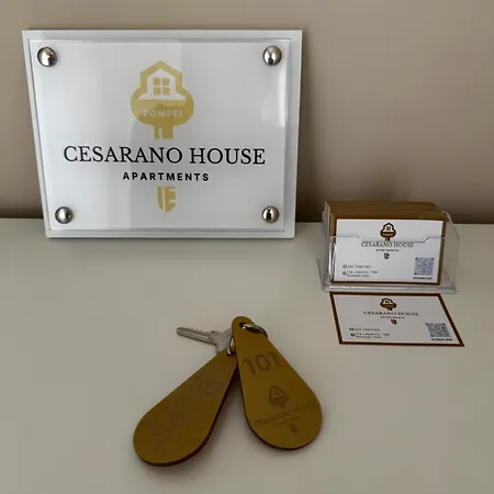 Cesarano House ポンペイ